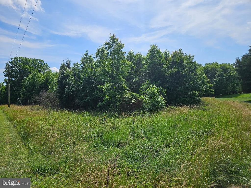 JOHNSONTOWN RD, Chestertown, MD 21620