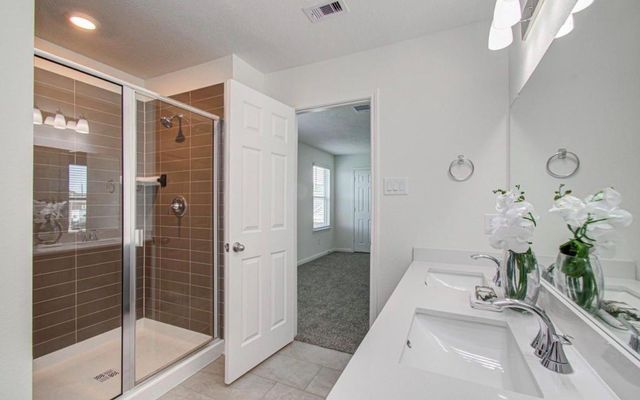 22802 Wolfshire Way, Hockley, TX 77447