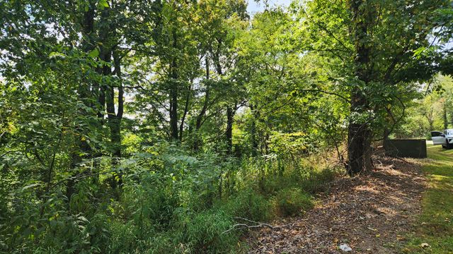 0 Rutherford Lane, Smithville, TN 37166