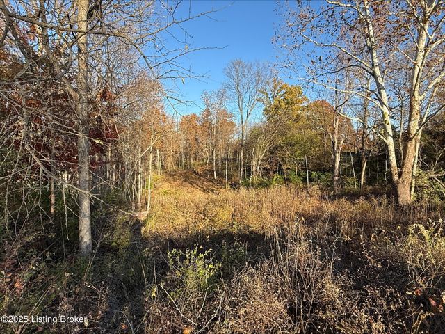 18425 Bridgemore Ln, Louisville, KY 40245