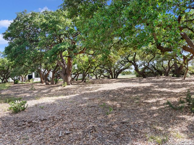 756 Annabelle, Bulverde, TX 78163