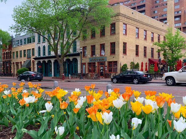 110 Bank Street SE L2601, Minneapolis, MN 55414