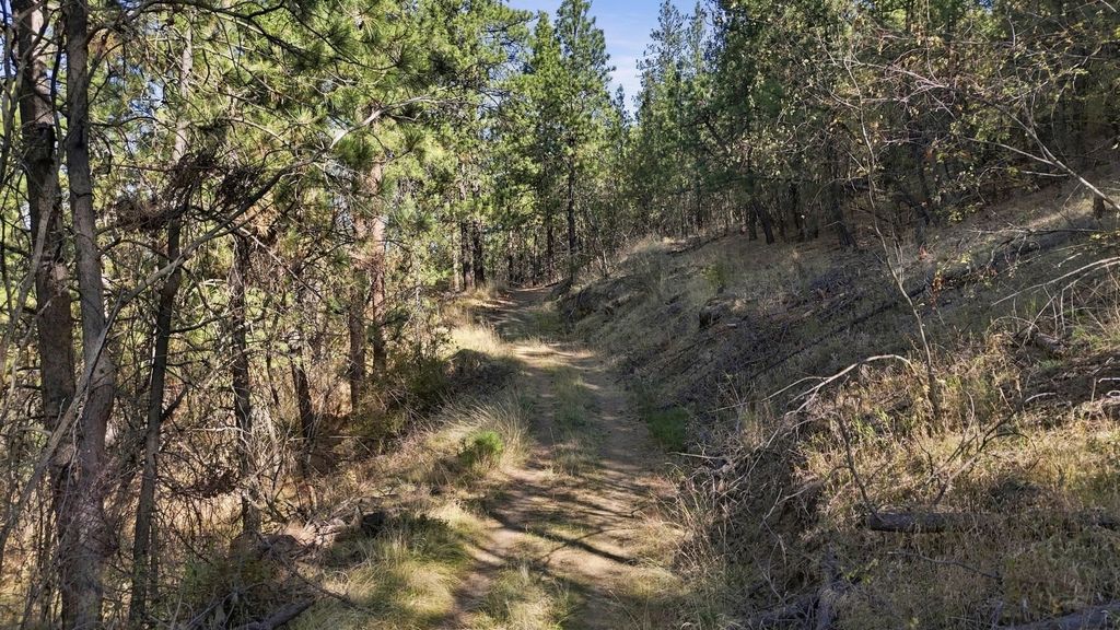 875 N Bella Lago Ln, Liberty Lake, WA 99019 photo 5