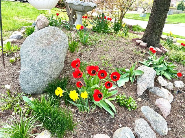 10747 Red Pine Drive, Fishers, IN 46037