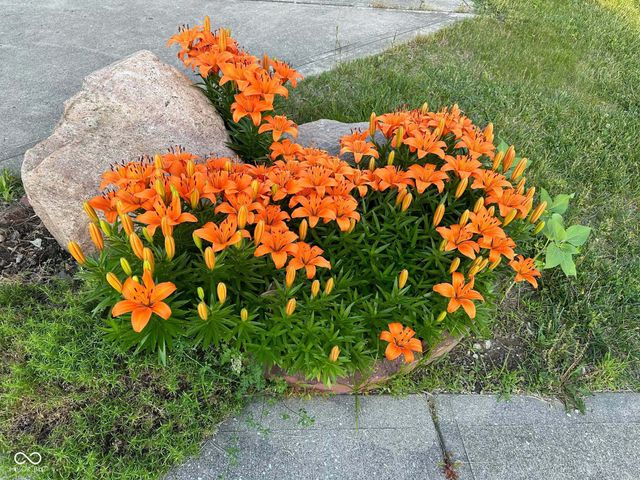 10747 Red Pine Drive, Fishers, IN 46037