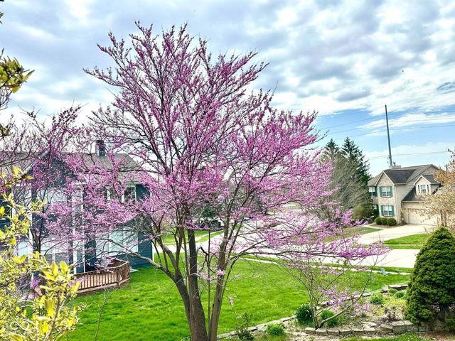 10747 Red Pine Drive, Fishers, IN 46037