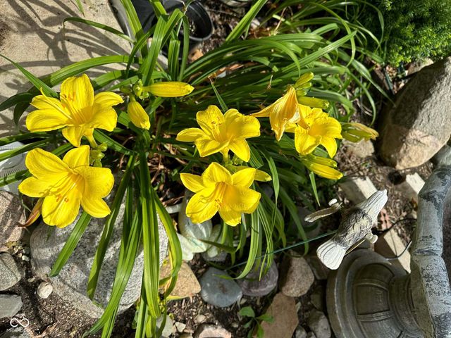 10747 Red Pine Drive, Fishers, IN 46037