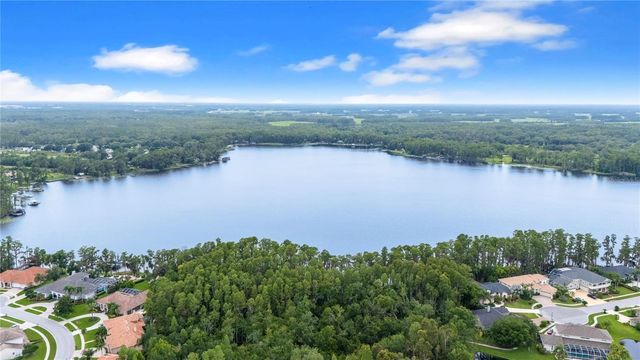 21314 MARSH HAWK DRIVE, Land O Lakes, FL 34638