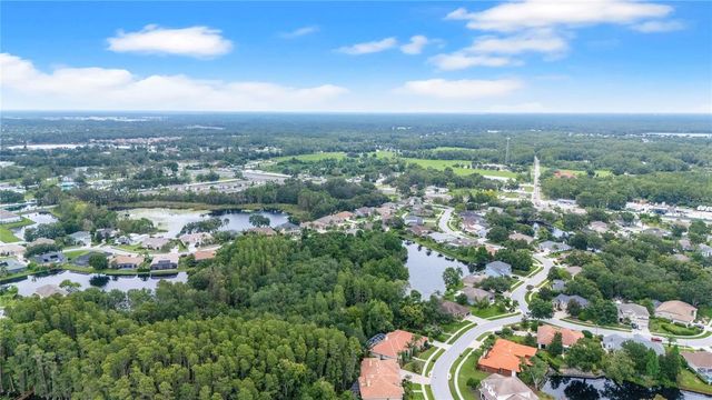 21314 MARSH HAWK DRIVE, Land O Lakes, FL 34638