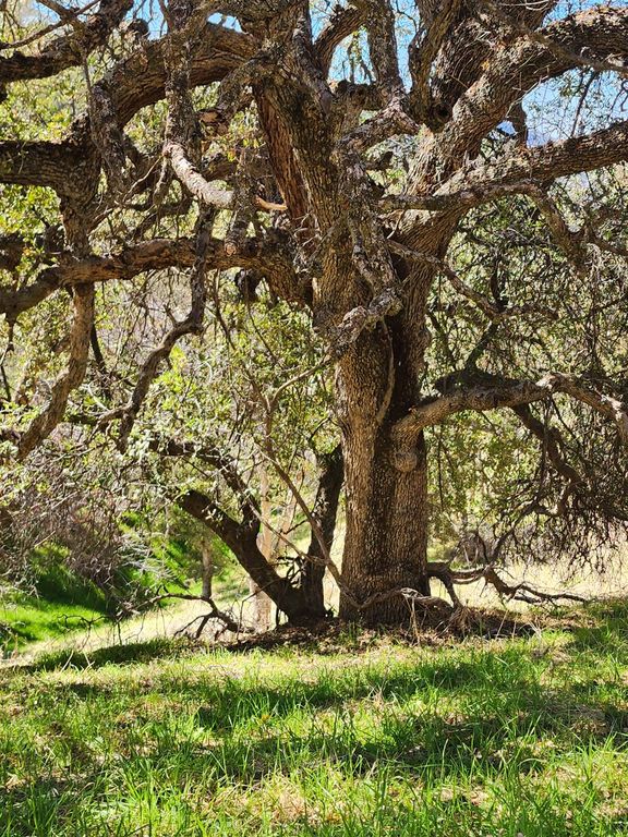 Image 2 of property listing at 40 Seminole Road, Tollhouse, CA 93667