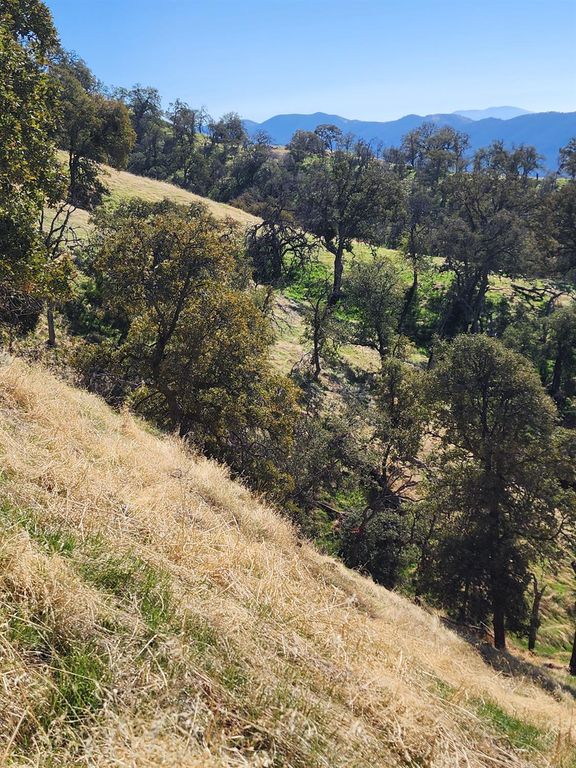 Image 5 of property listing at 40 Seminole Road, Tollhouse, CA 93667