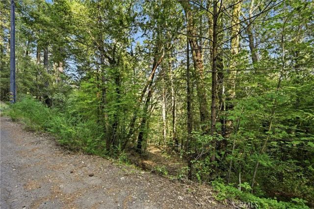 17097 Dogwood Way, Cobb, CA 95461