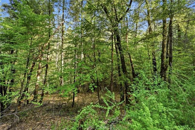 17097 Dogwood Way, Cobb, CA 95461