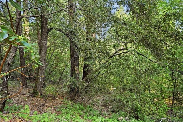 17097 Dogwood Way, Cobb, CA 95461