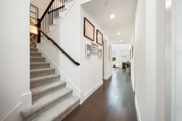 8183 Mary Curran Court, Dallas, TX 75252