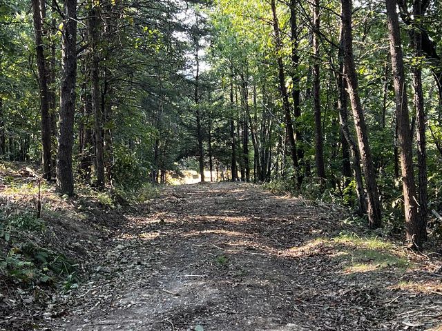 330 Wild Azalea Trail, Waleska, GA 30183
