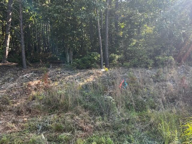 330 Wild Azalea Trail, Waleska, GA 30183