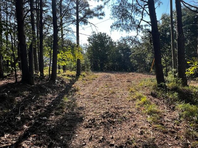 330 Wild Azalea Trail, Waleska, GA 30183
