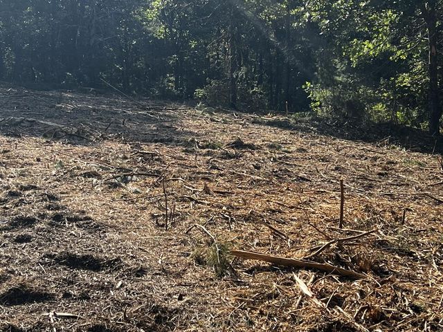330 Wild Azalea Trail, Waleska, GA 30183