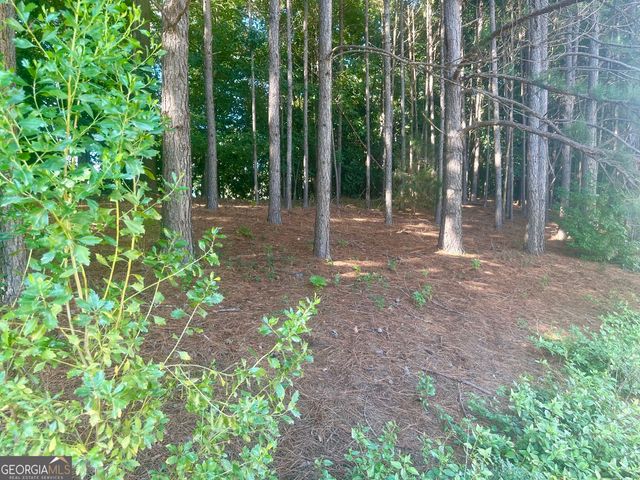 864 Crescent Ln, Griffin, GA 30224