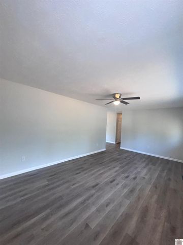 154 Gene Drive, Ledbetter, KY 42058