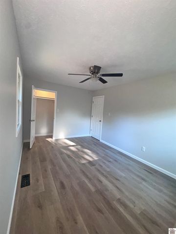 154 Gene Drive, Ledbetter, KY 42058