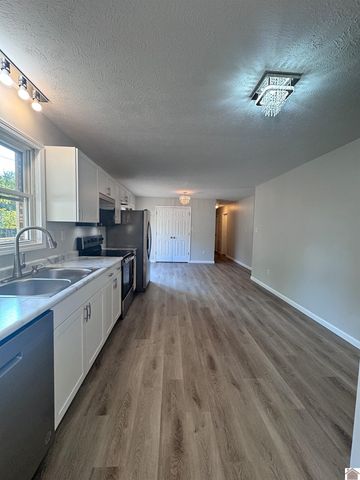 154 Gene Drive, Ledbetter, KY 42058