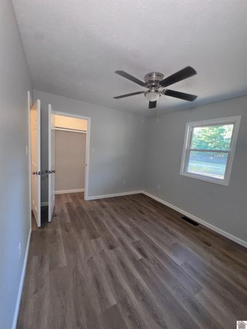 154 Gene Drive, Ledbetter, KY 42058