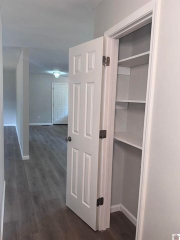 154 Gene Drive, Ledbetter, KY 42058