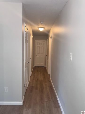 154 Gene Drive, Ledbetter, KY 42058