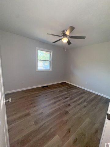 154 Gene Drive, Ledbetter, KY 42058