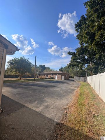 154 Gene Drive, Ledbetter, KY 42058