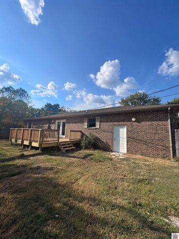 154 Gene Drive, Ledbetter, KY 42058