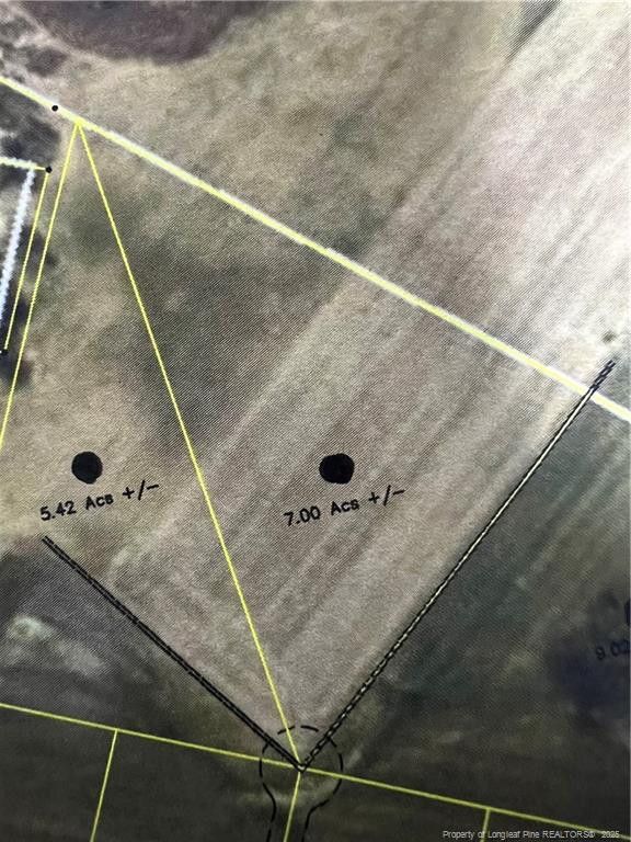 7.0 acres Buie Philadelphus Road, Red Springs, NC 28377