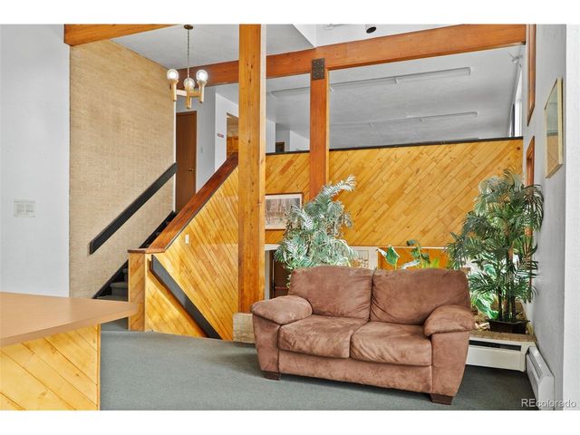 595 Straight Creek Dr F-102, Dillon, CO 80435