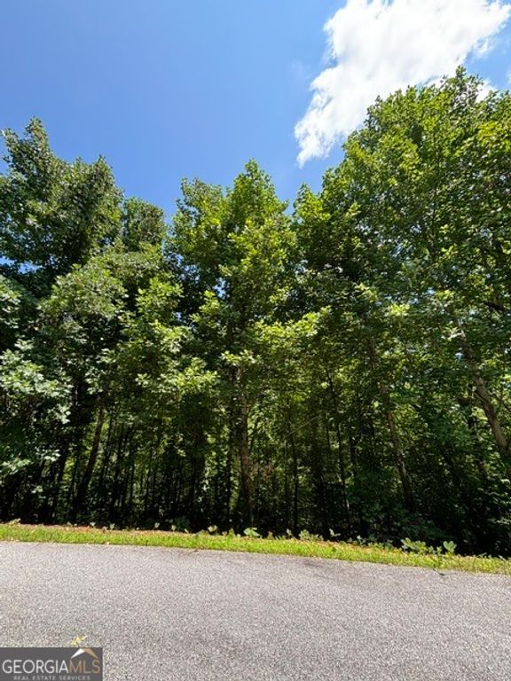 LOT #5 King Mountain Drive, Clayton, GA 30525 — photo 2