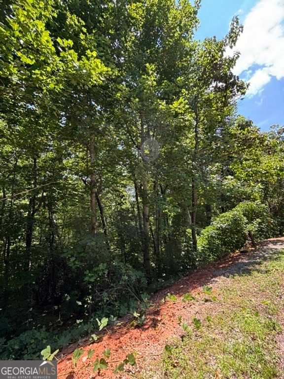 LOT #5 King Mountain Drive, Clayton, GA 30525 — photo 3