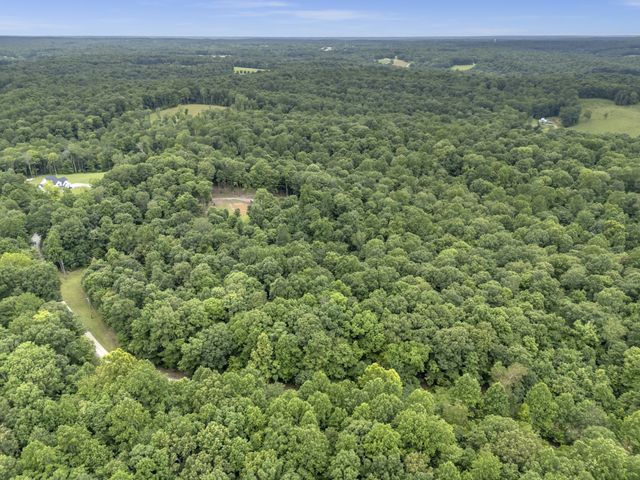 1150 Tonya Trl, Cumberland Furnace, TN 37051