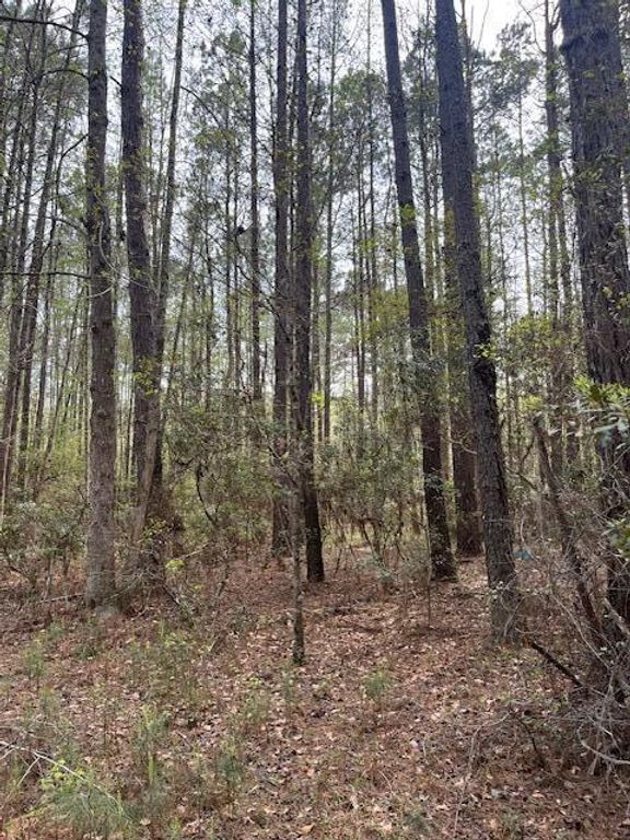 0 Palm Street, Reevesville, SC 29471