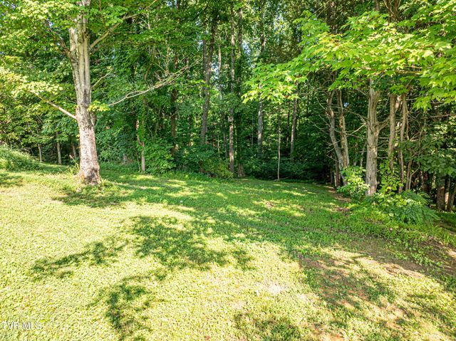 26424 Beech Circle, Abingdon, VA 24211