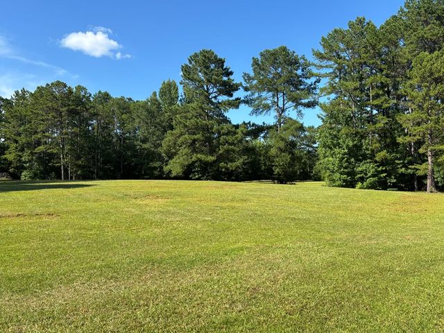 422 Baker Creek Drive, Box Springs, GA 31801