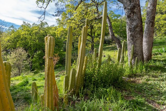 16100 Barbara Ct, Grass Valley, CA 95949