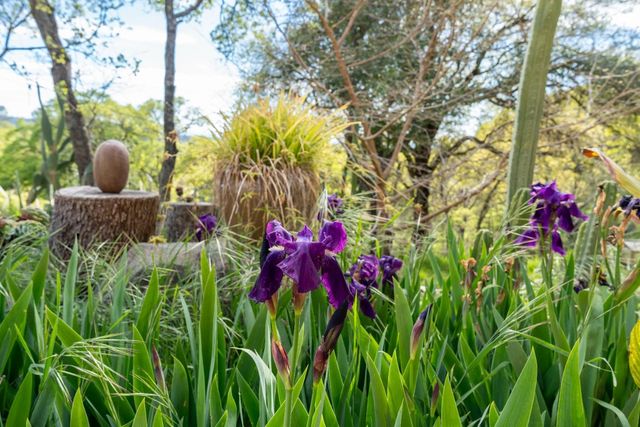 16100 Barbara Ct, Grass Valley, CA 95949