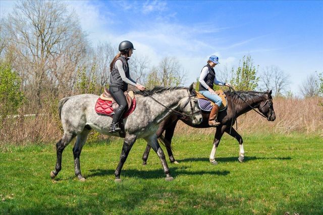 3701 Hidden Lake Lane, Lexington, KY 40516