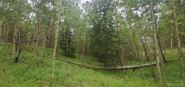 Lot 6882 Donna Road, Fort Garland, CO 81133