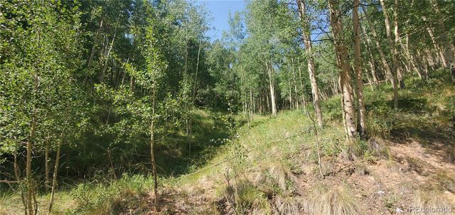 Lot 6882 Donna Road, Fort Garland, CO 81133