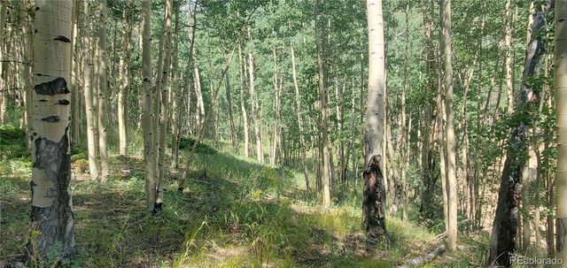 Lot 6882 Donna Road, Fort Garland, CO 81133