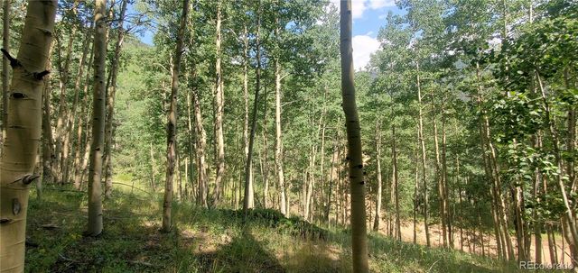 Lot 6882 Donna Road, Fort Garland, CO 81133