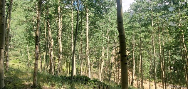 Lot 6882 Donna Road, Fort Garland, CO 81133