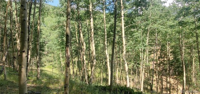 Lot 6882 Donna Road, Fort Garland, CO 81133